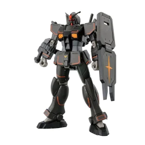 Officielle HGGTO 1/144 GUNDAM FSD 9